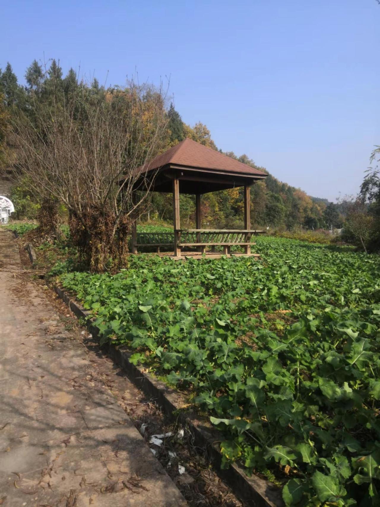 冬日的桃花谷显得非常冷清，我的乡村生活 乡村风景 乡村田园生活 我的农村生活