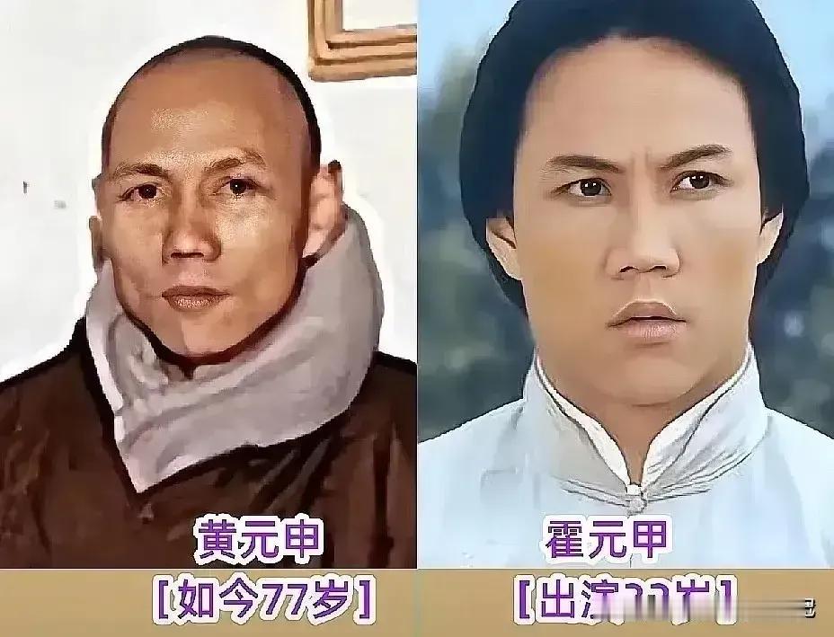 黎汉持演的龙海生非常形象。
黄元申演的霍元甲非常形象。
谭荣杰演的刘振声非常形象