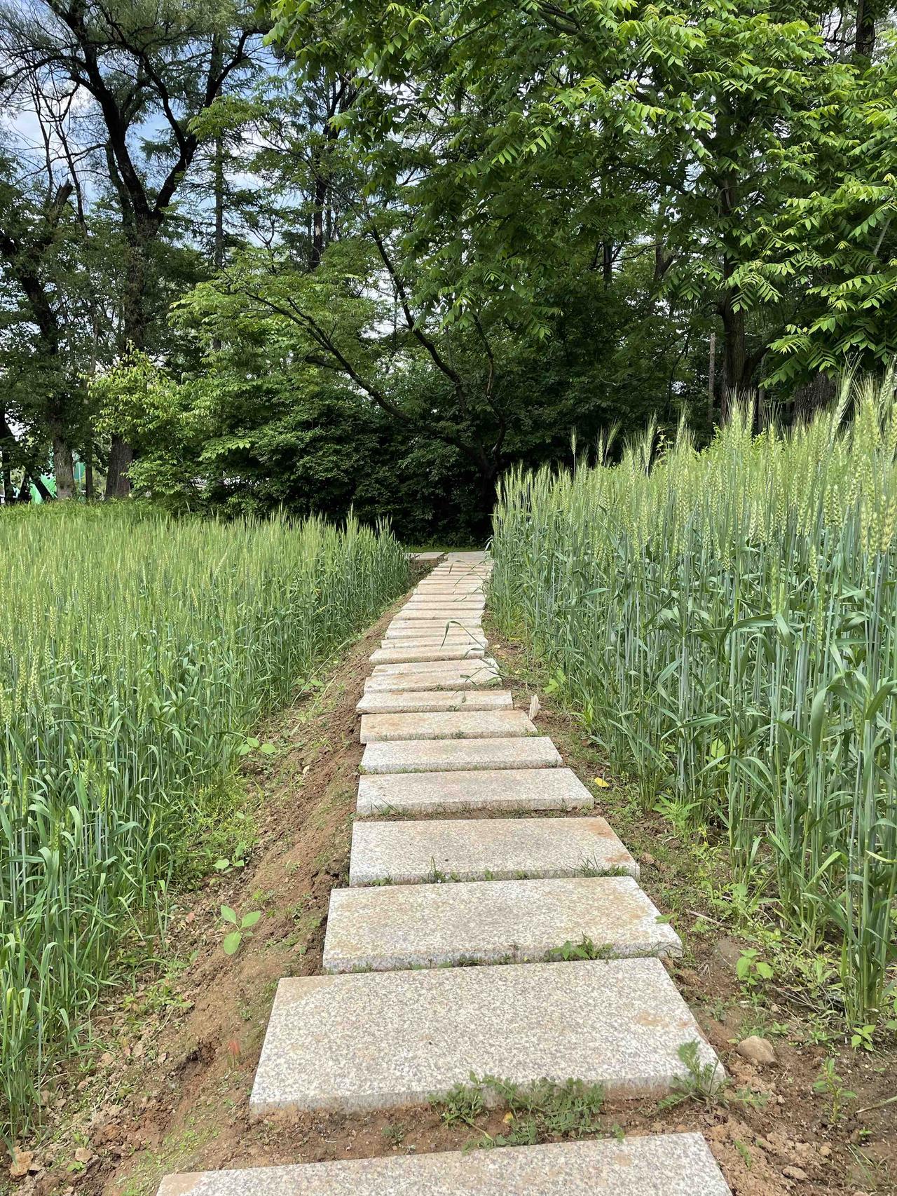 人工智能不会取代作家，用一个简单方法就可以测试出来，作家会做梦，人工智能不会做梦