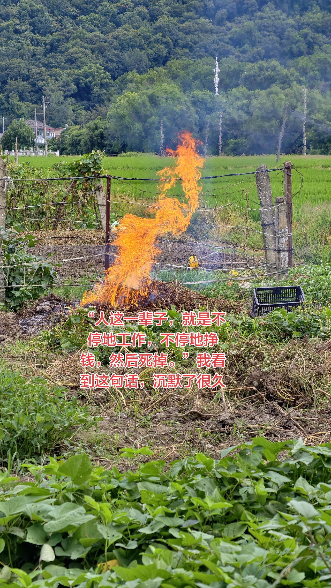 最近在网上看到一句话：“人这一辈子，就是不停地工作，不停地挣钱，然后死掉。”我看