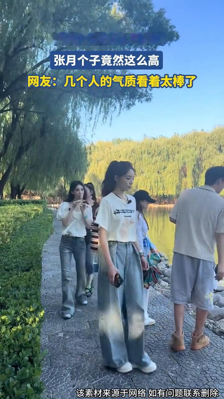 网友偶遇张月和陈瑶，张月个子竟然这么高。
网友：几个人的气质看着太棒了。
该素材