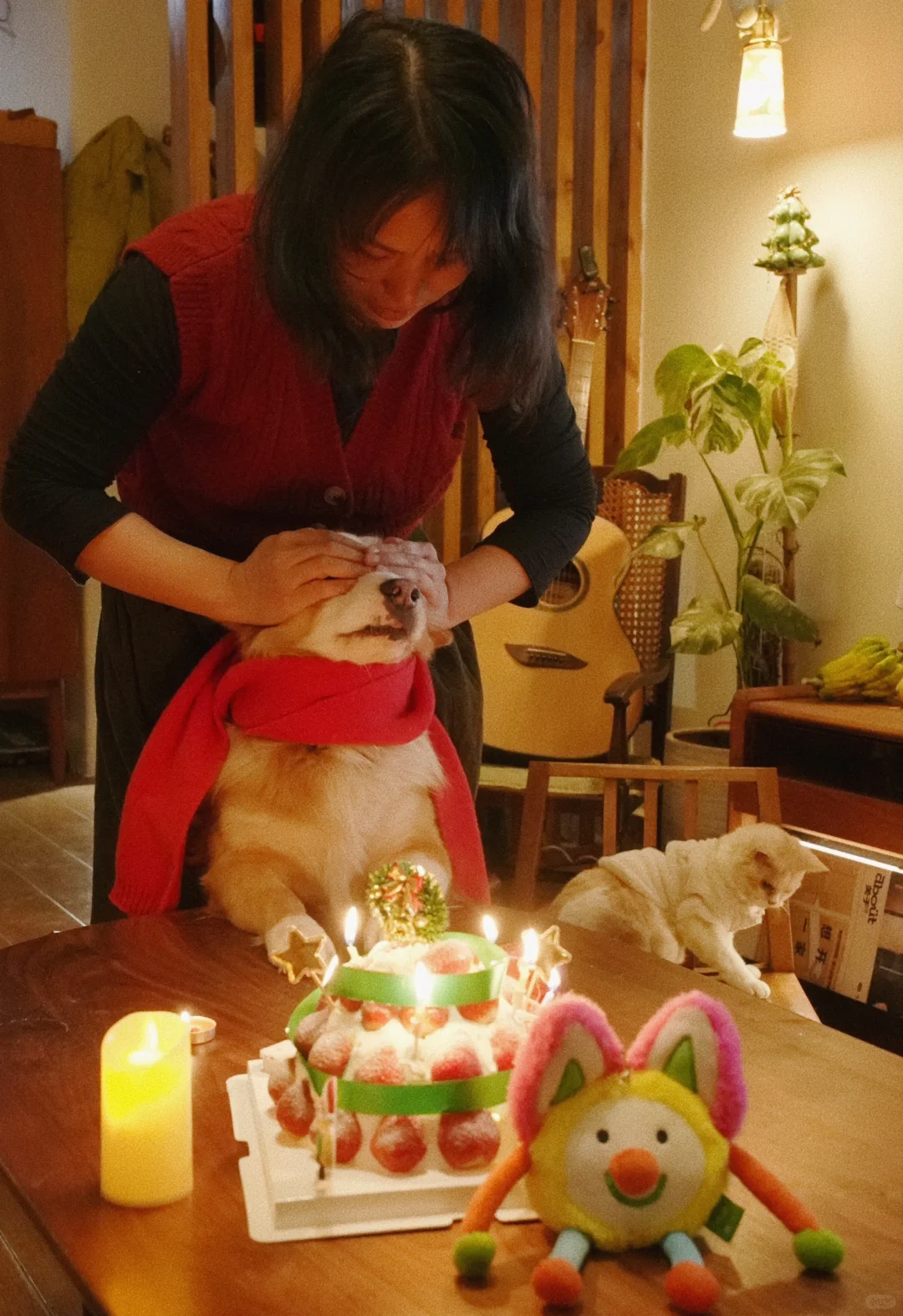 我的家准备过好这个冬天❄️了