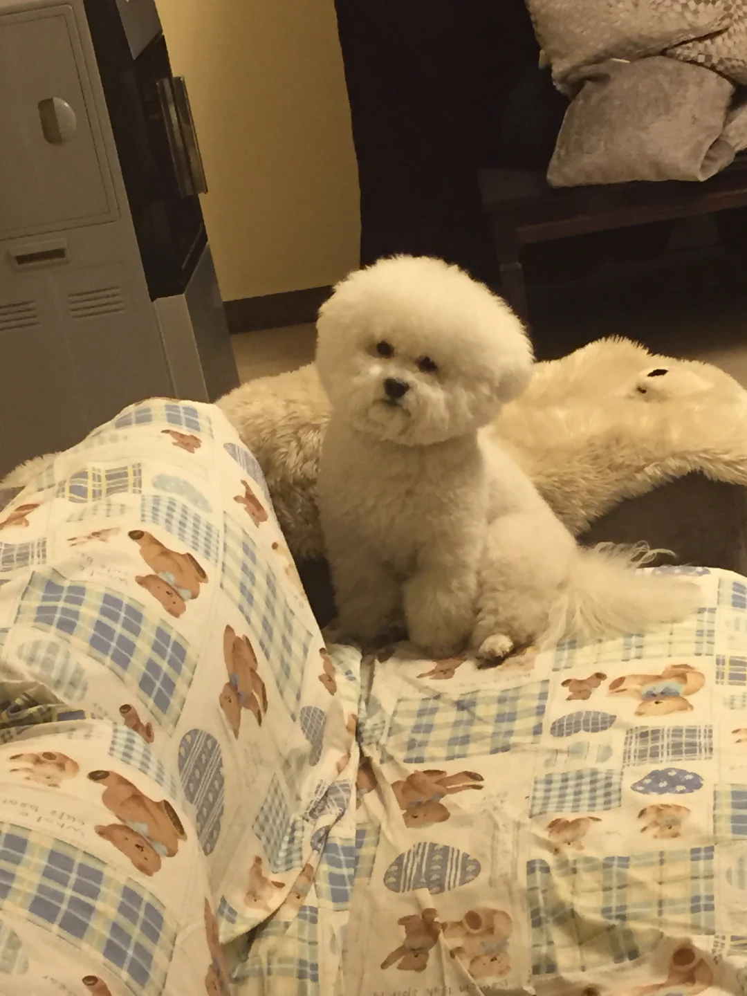 发现了10年前的照片🤧愿时间过的再慢一点