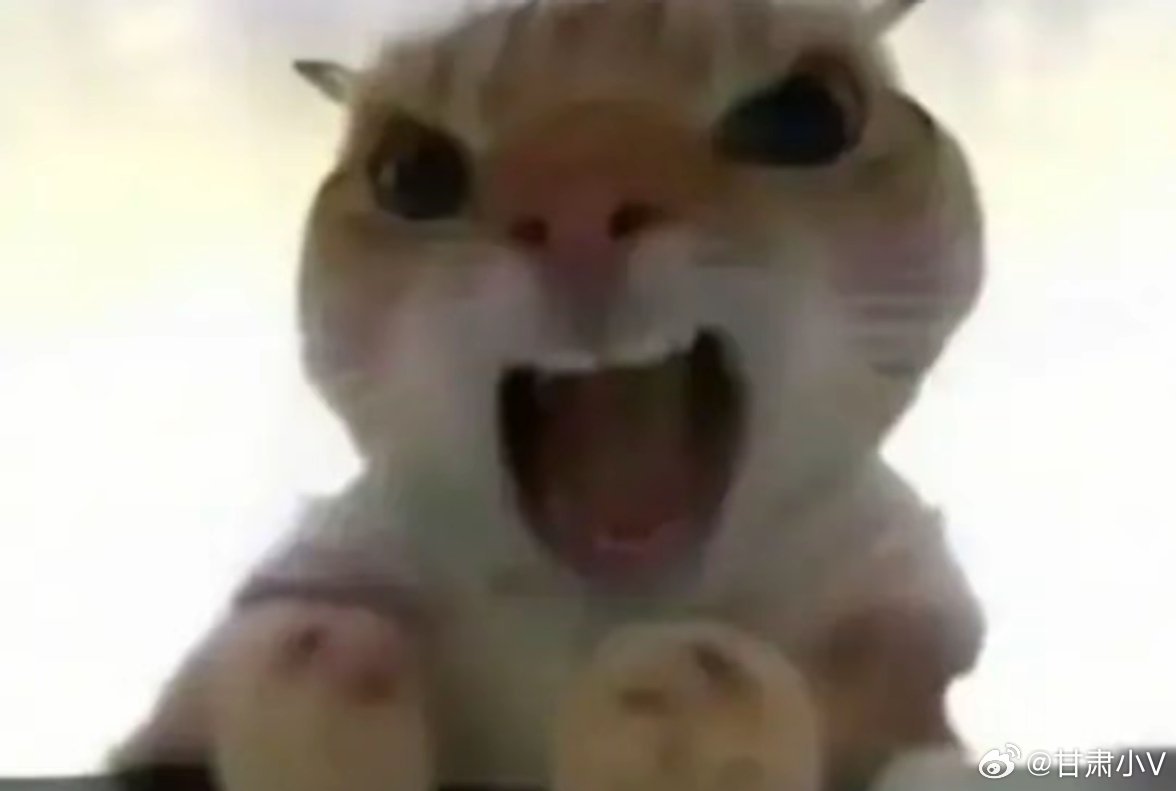 女子被判向出轨丈夫道歉15天《懂法的人果然最懂如何用法》法官：我能让你光明正大的