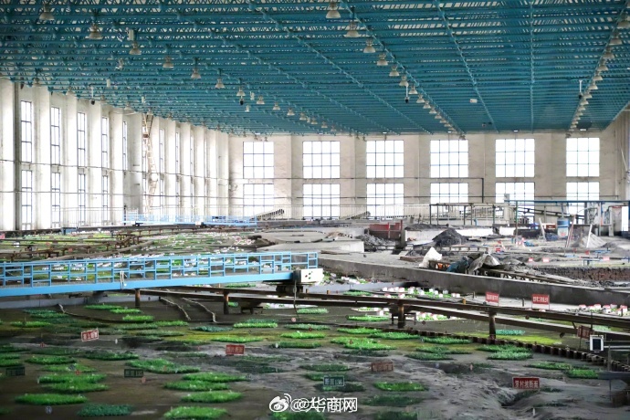 【#郑州有一条800米的微缩版黄河#】郑州市区，也有一条“黄河”。此“黄河”非彼
