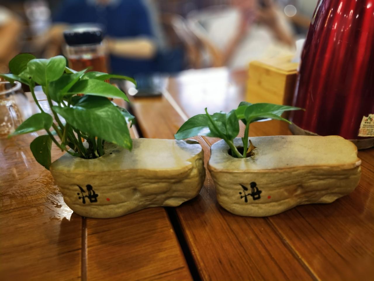 生命的力量