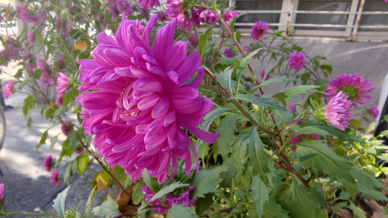 教师节免门票，这事儿被骂得挺惨。

骂声里最多的一句是：免门票有什么用，今天老师