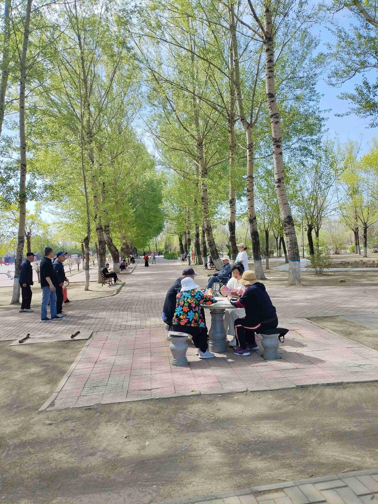 我的今日状态：😁轻松愉快
我这里的天气：☀️晴天
这里是黑龙江省肇东市南湖公园