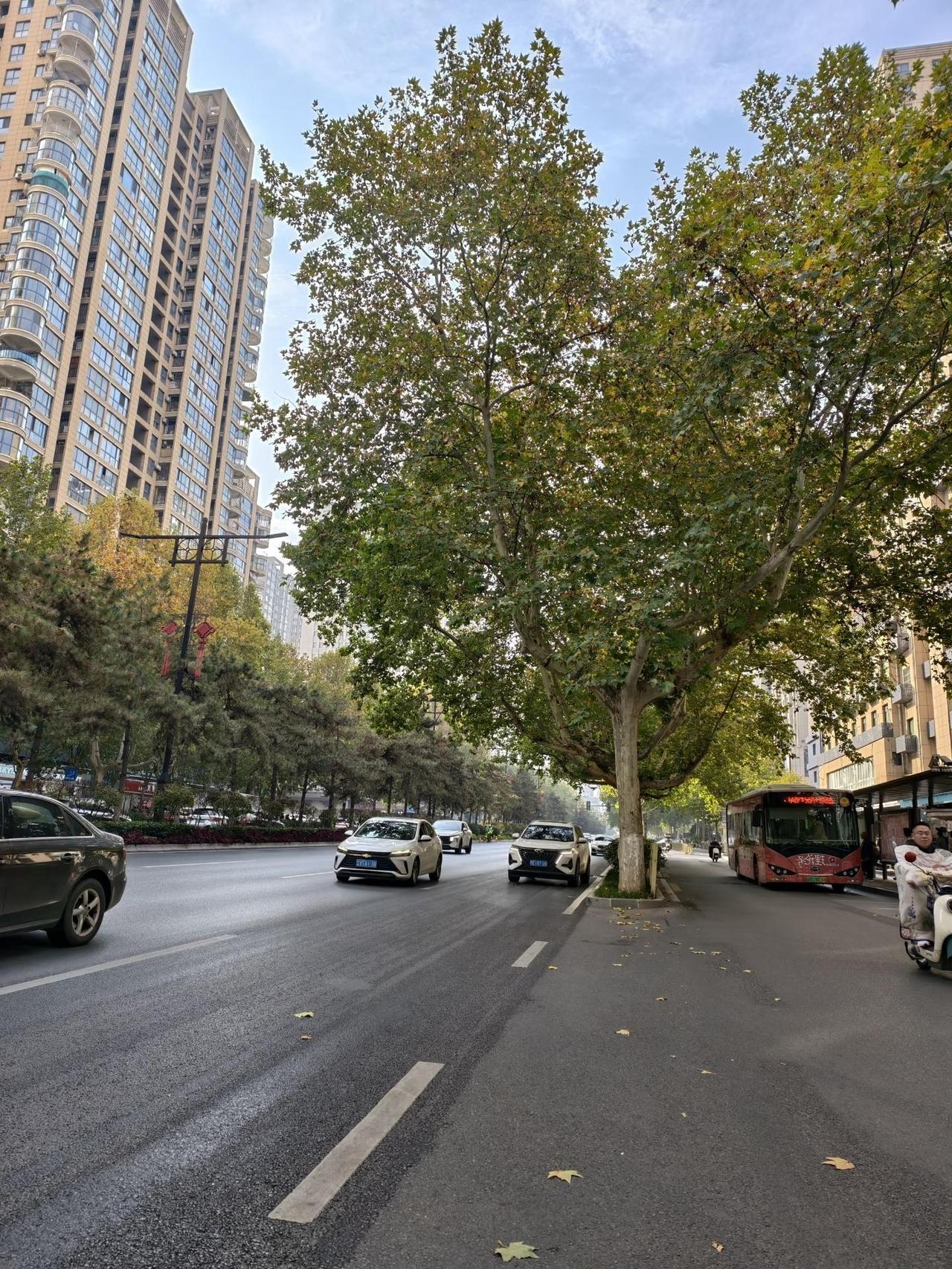 再过4年就到退休年龄的女同事，放弃了优厚的退休金，选择了内退。

这几天单位都在