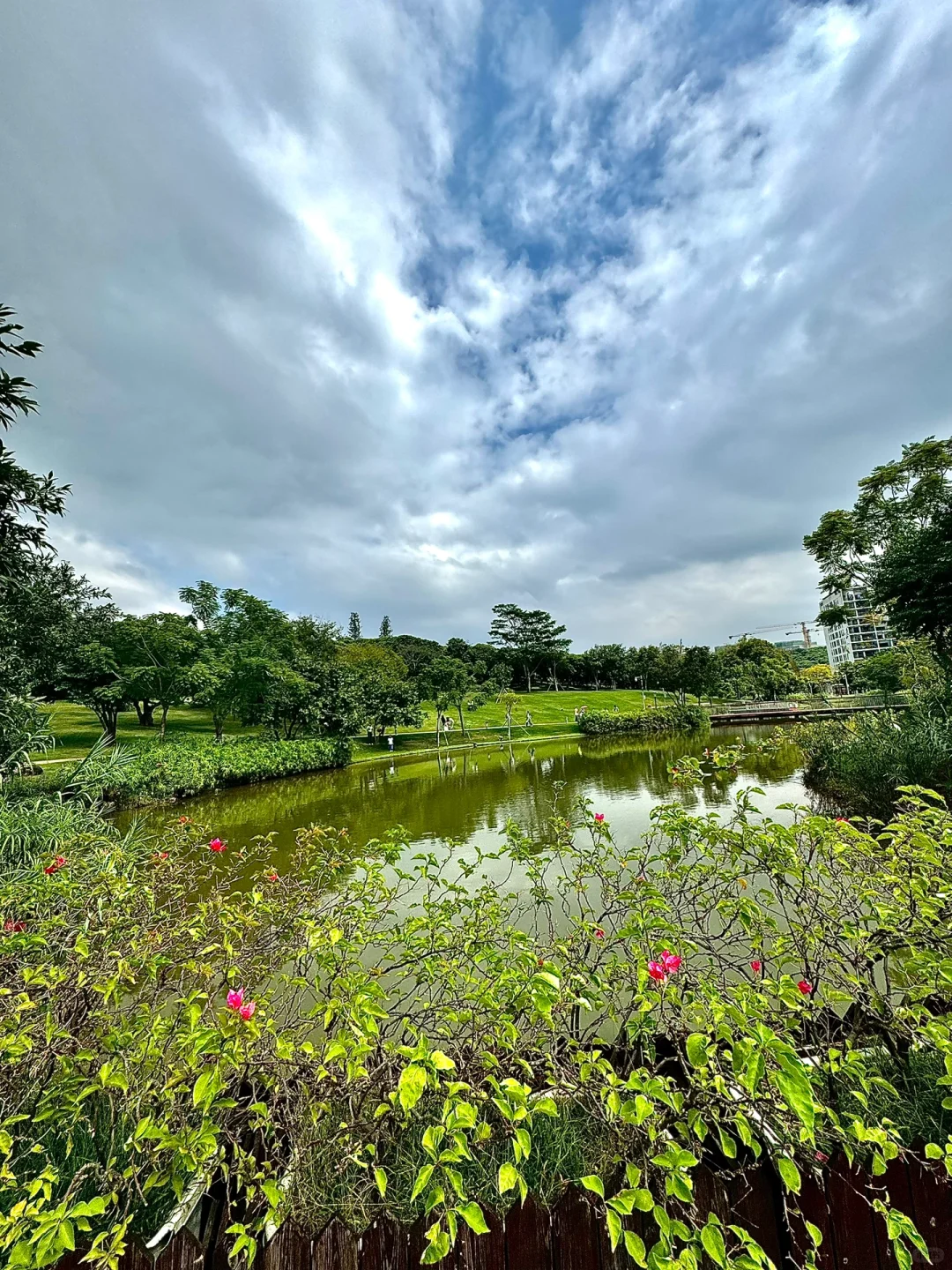 深圳遛娃65｜周末避人潮，南科大亲子时光！