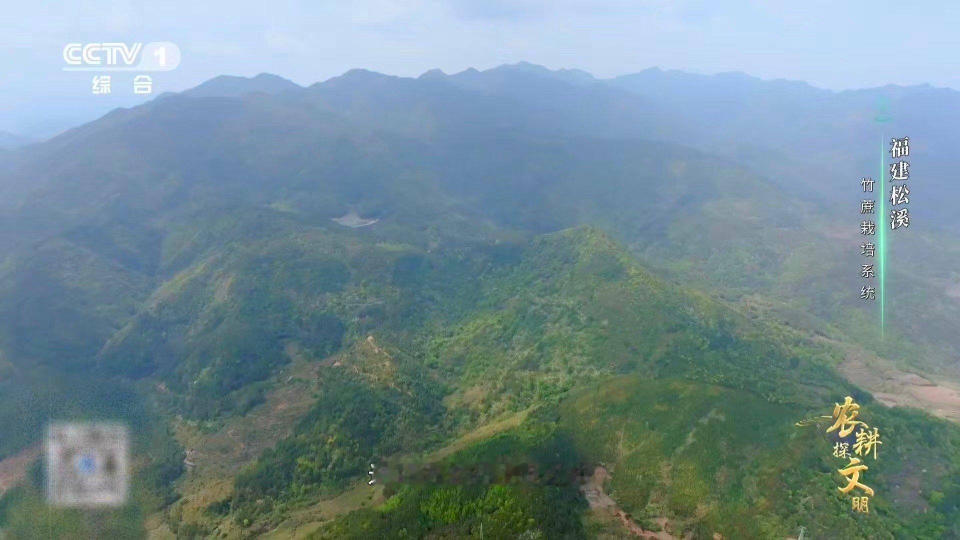 中国一种甘蔗长在火山土里福建松溪竹蔗已生长近300年 在火山土里“修仙”的甘蔗！
