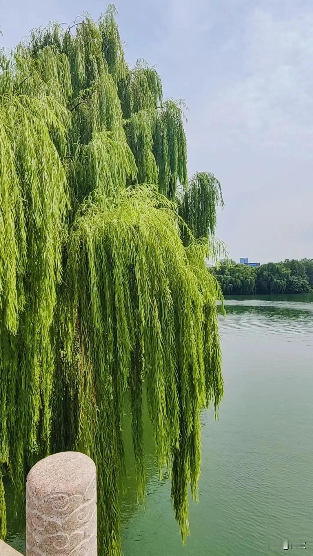 下联：？
上联:花红天蓝人欲醉
下联:柳绿风清鸟争鸣
横批:春和景明