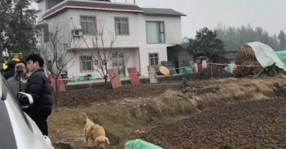 流量发展畸形的一面，会给社会生态带来什么后果？