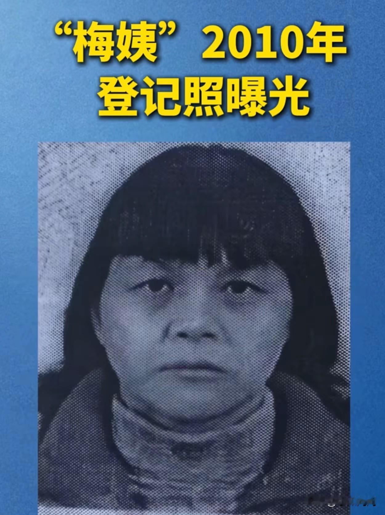 画师真的厉害，梅姨庐山真面目曝光
有人说原来梅姨想这样
她还在我家买过香蕉

就