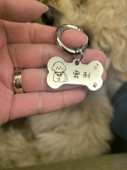 小狗为什么暖融融的