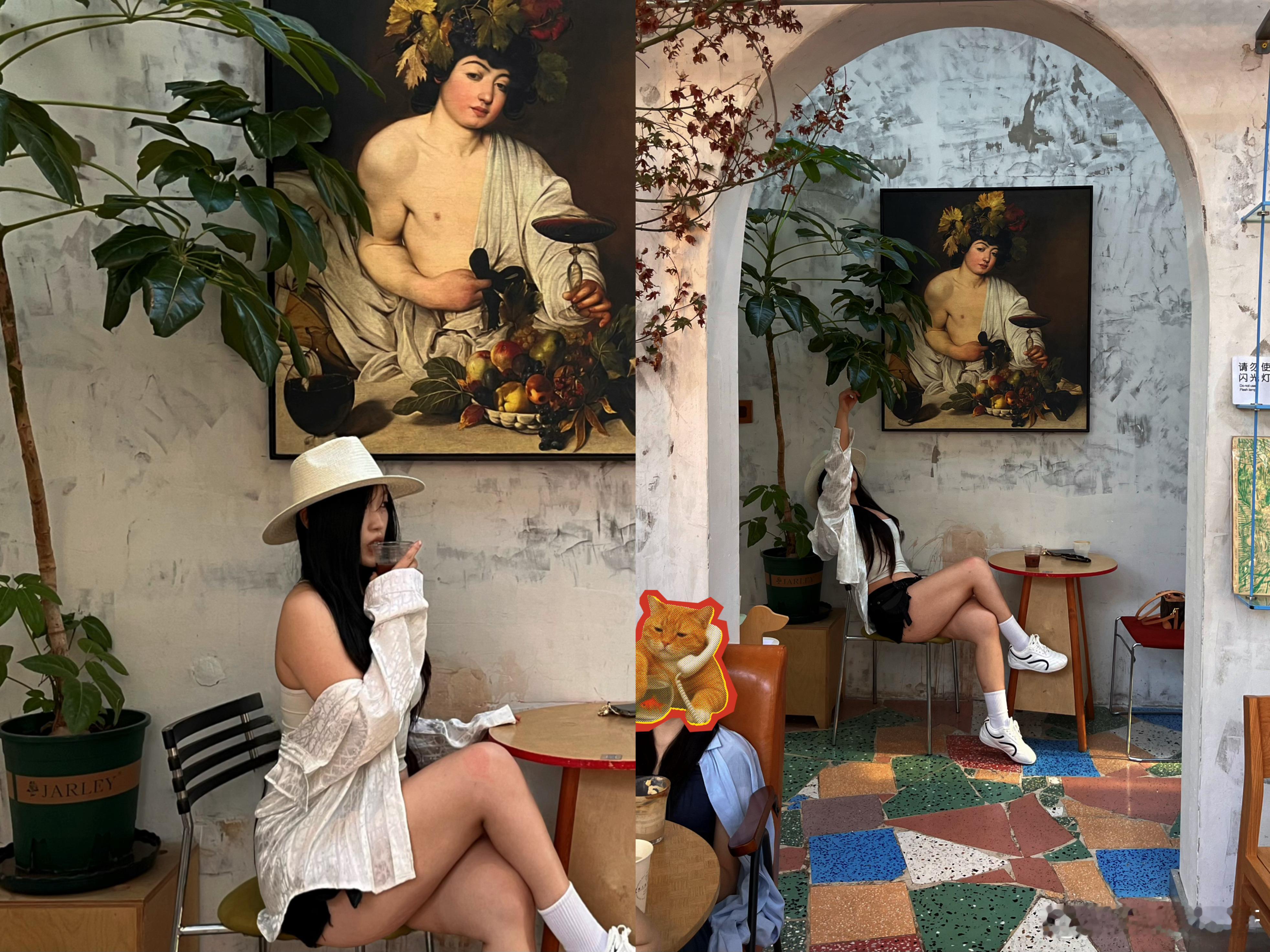 龙餐厅好看 
