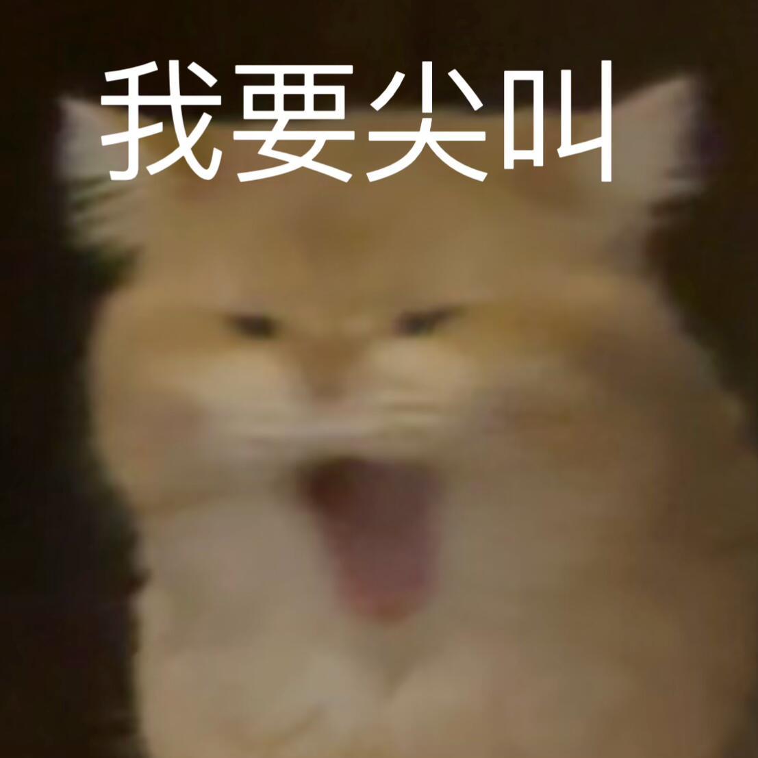 吴宣仪wxy吴宣仪乘风2025 做到了！！！我们做到了！！！超喜欢过七千一了！！