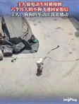 “狗宝宝去搬救兵了？”山东济南，马女士骑电动车时，意外和三轮车相撞。撞落在地的马
