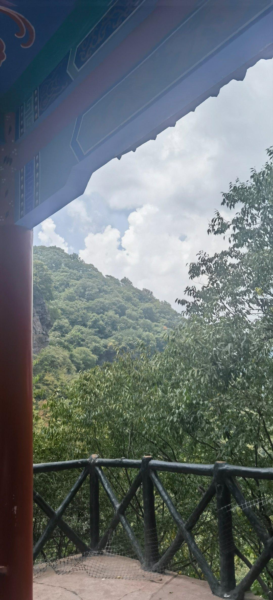 谁有我勇，最热的天气来爬山，就问服不服 