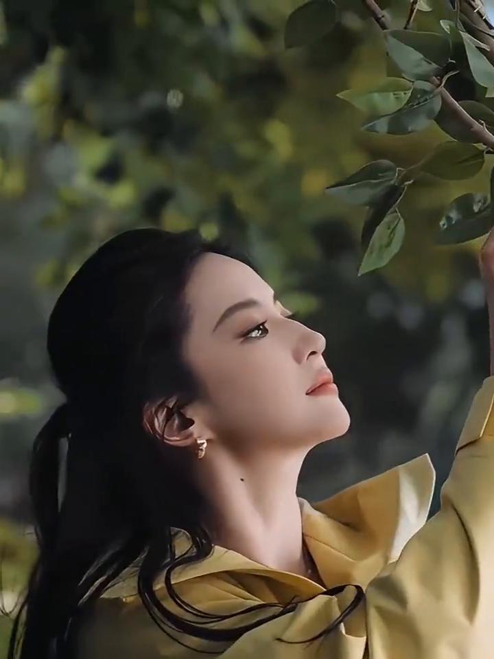 风来了，去玩风；雨来了，就去玩雨。熊猫，自在玩野。