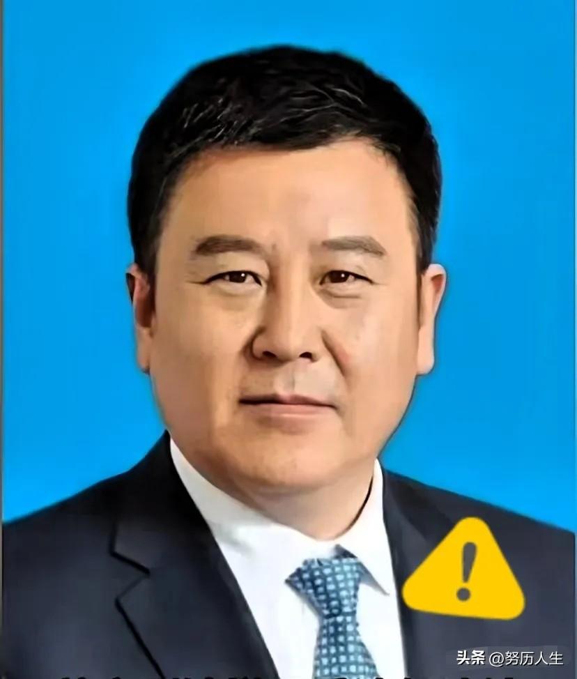 刚才刷新闻看到界面快讯发的消息，57岁的芮文刚被查了。
 
翻了眼他的履历，这位