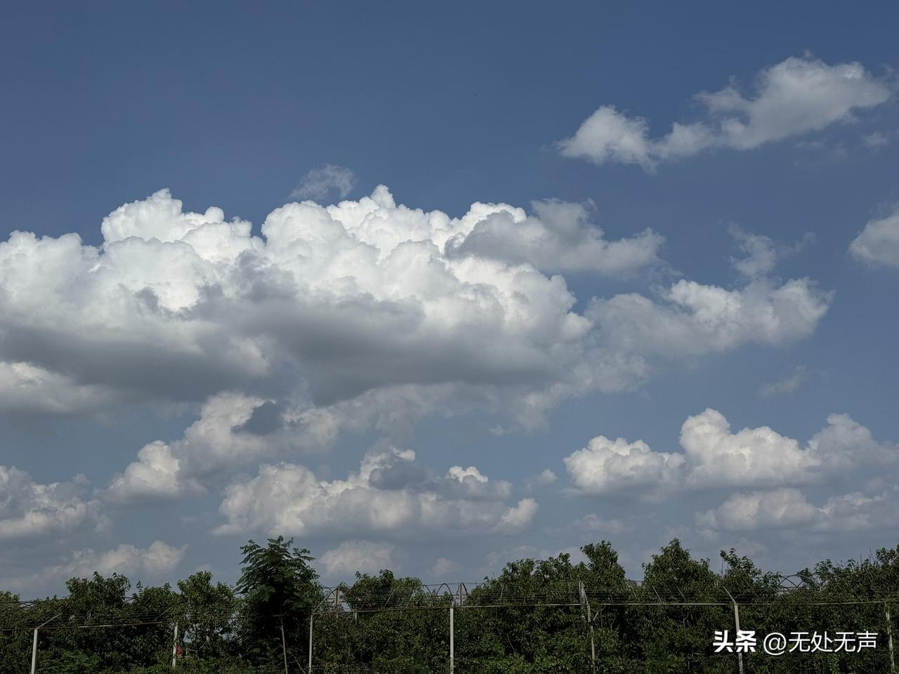 废掉一个人最快的方式，就是让他一直在这件事上“勤奋”
我们总以为勤奋就能成功，但