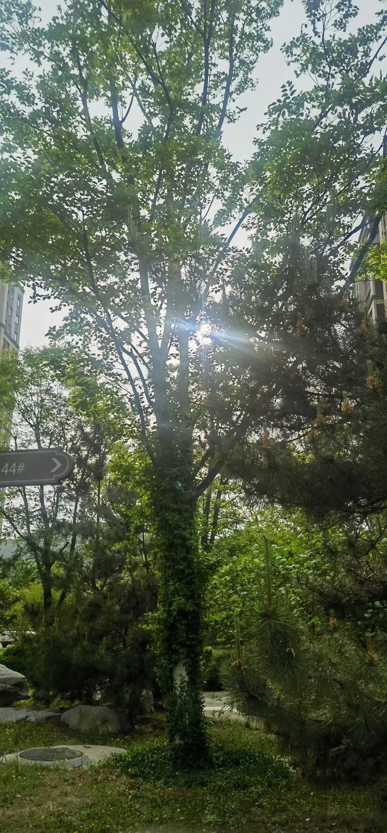 【小对联】
上：点缀；
下：……？