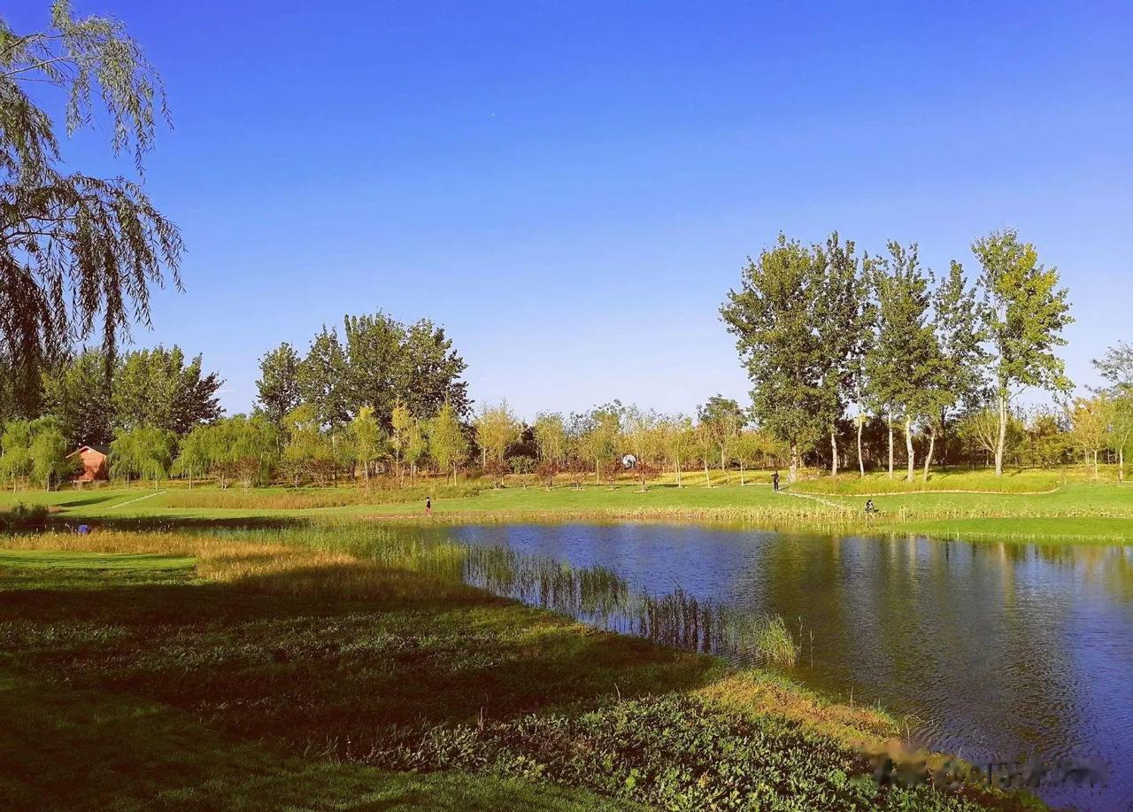 #秋日生活打卡季#
秋风瑟瑟，浪漫的秋天悄然而至。伴着阳光迎接新的一天。心情不佳