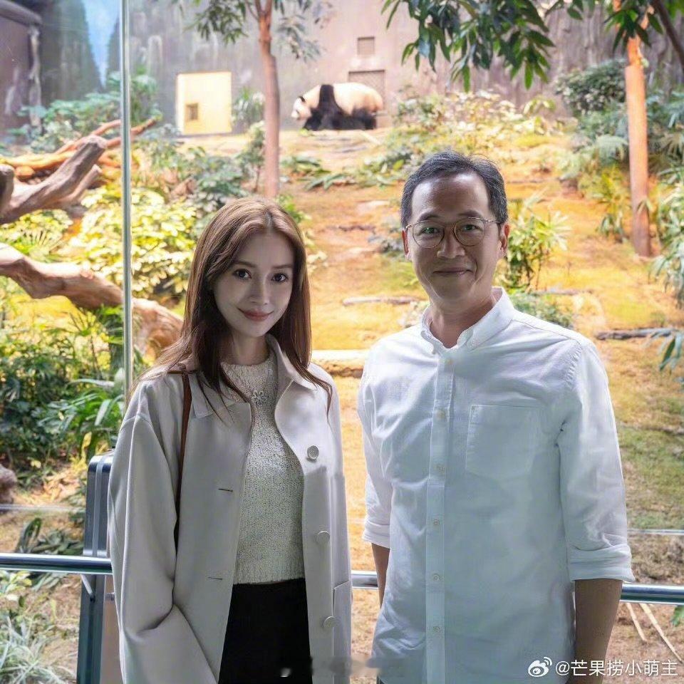 Angelababy逛香港熊猫馆  偶遇Angelababy逛香港熊猫馆  偶遇