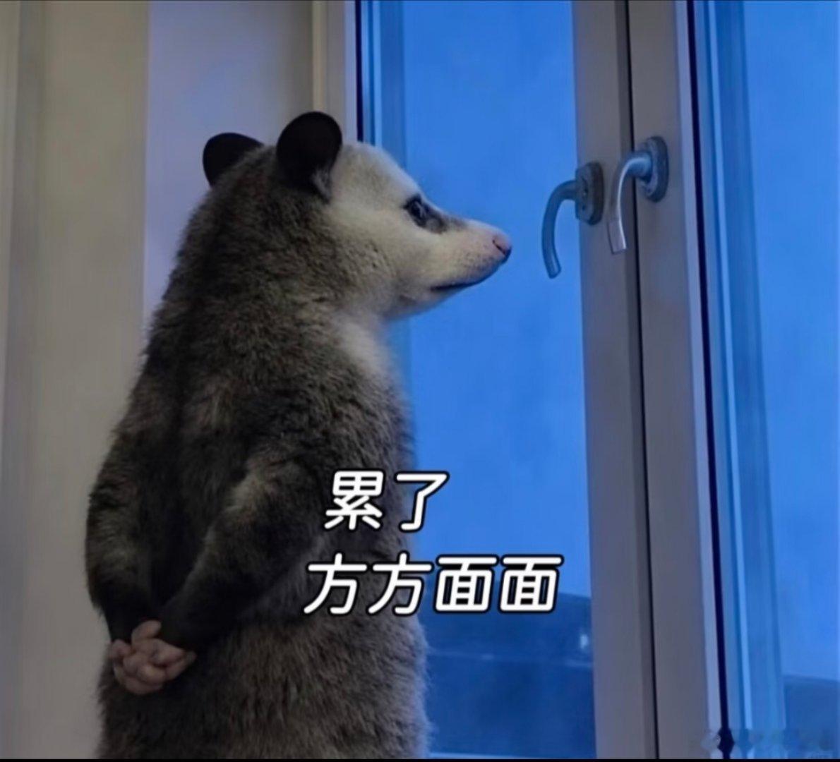 好 烦 燥 干 不 了 一 点！ 