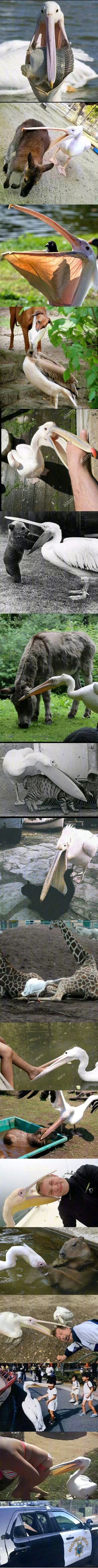 多行不义必自毙 ​​​