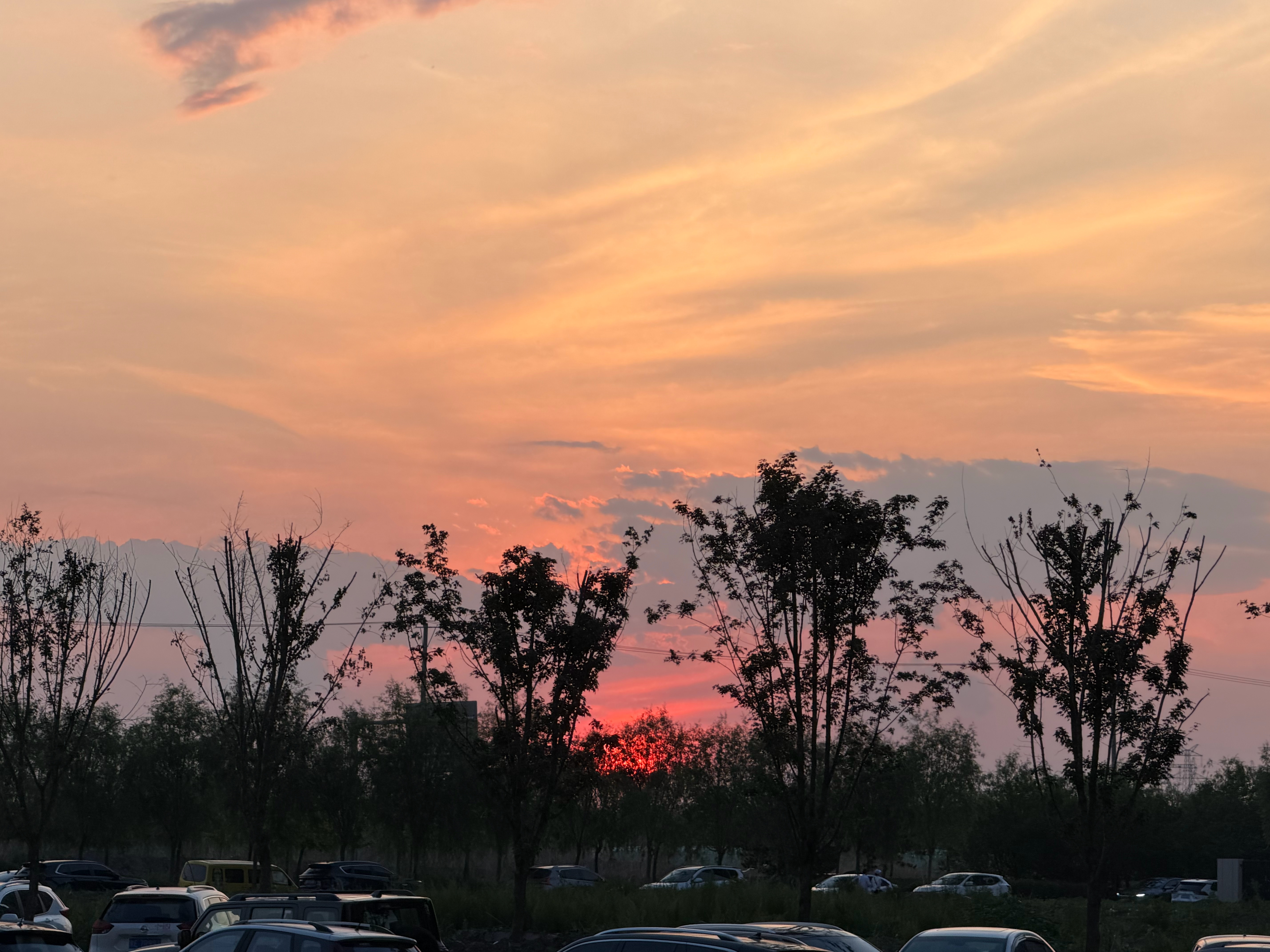 今晚我环游了地球汪苏泷