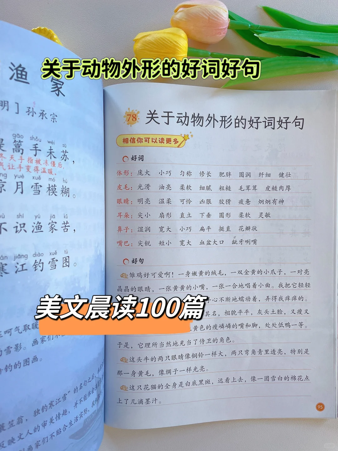 喔～美文晨读100篇终于来咯‼️寒假读起来✅