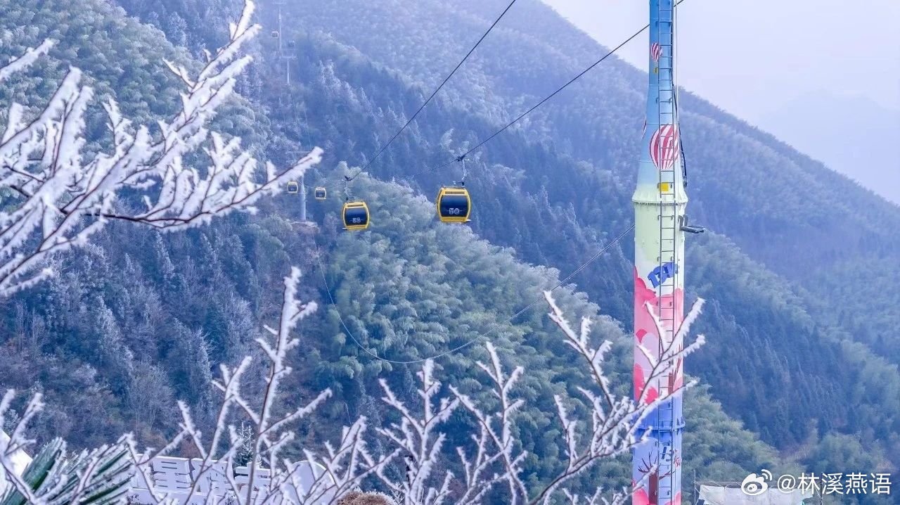恍若仙境！云和梯田的雾凇奇景，美到犯规！#云和梯田# ​​​