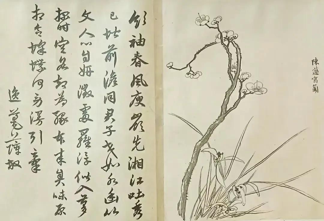 待到山花烂漫时………………
                          