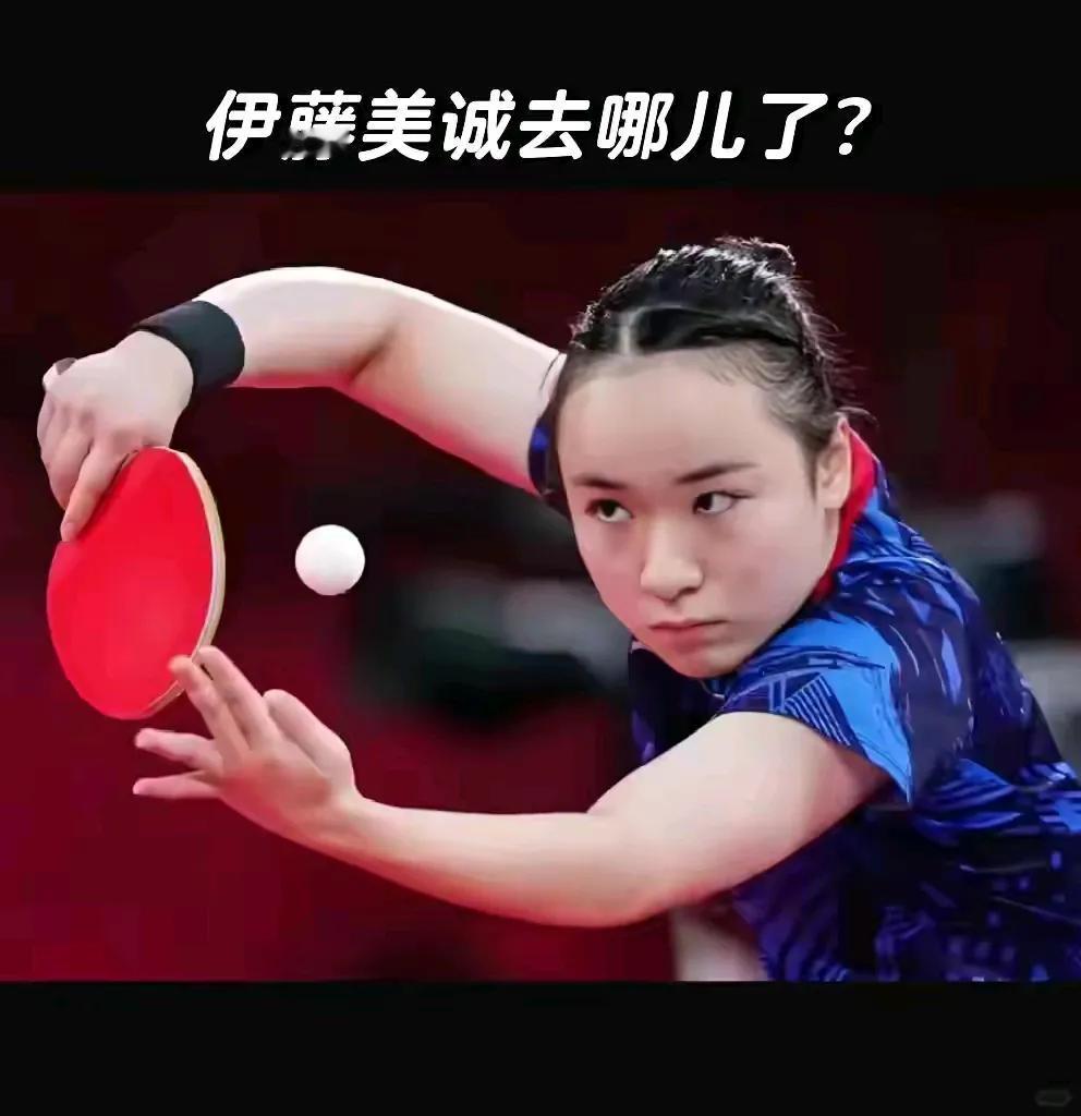 这个大头娃娃伊藤美诚哪去了？怎么今年奥运会没见到人了？

上一届东京他和搭档在男