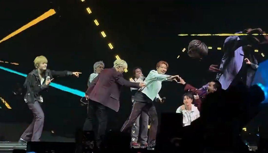 这里很萌啊 收获🐨比心的🦔 指着方向的🐶🐰 