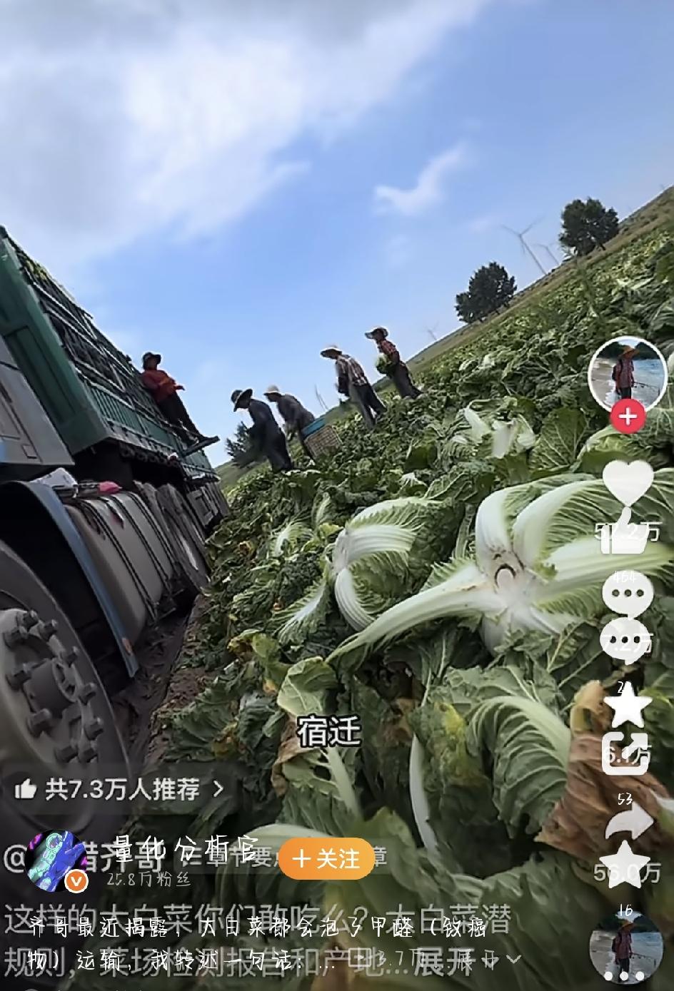 博主齐哥最近曝光的“甲醛白菜”事儿，一下子冲上热搜，看得人心里直发紧。白菜，谁家