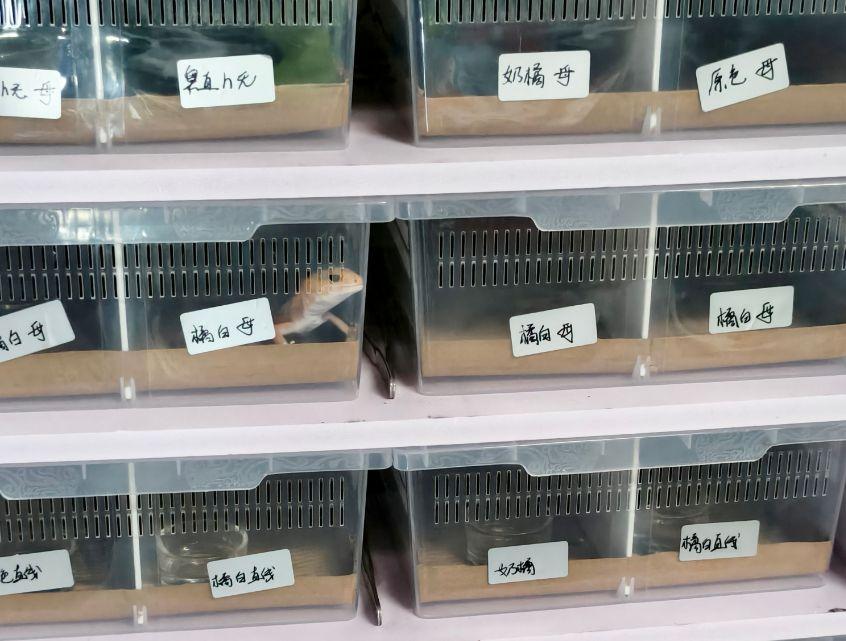 高考分数超预期？恭喜！但全家重新研究志愿这事儿，我劝你们冷静点！别被一时的兴奋冲