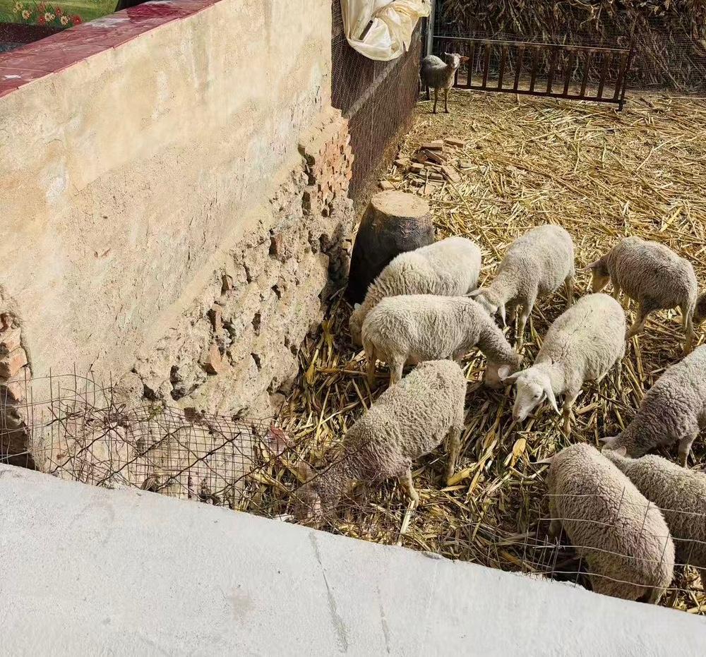 你觉得投资路上最大的敌人是什么羊群效应，总是被别人影响自己的判断。