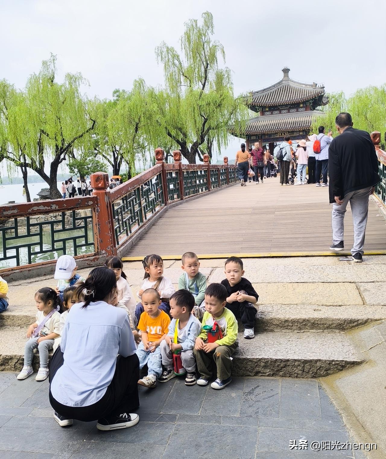 颐和园 知春亭看到的一幕，太让人暖心了。

一岁多的小娃娃们也太可爱了，排队坐在