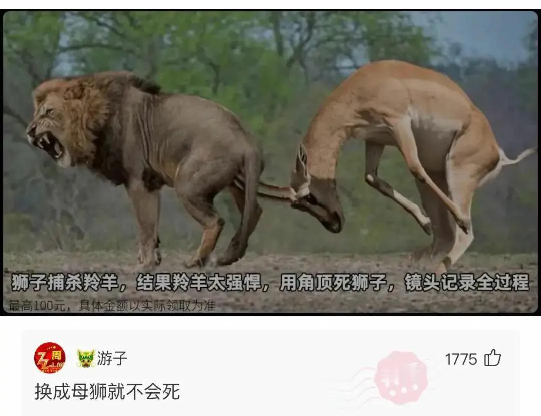 厉害了