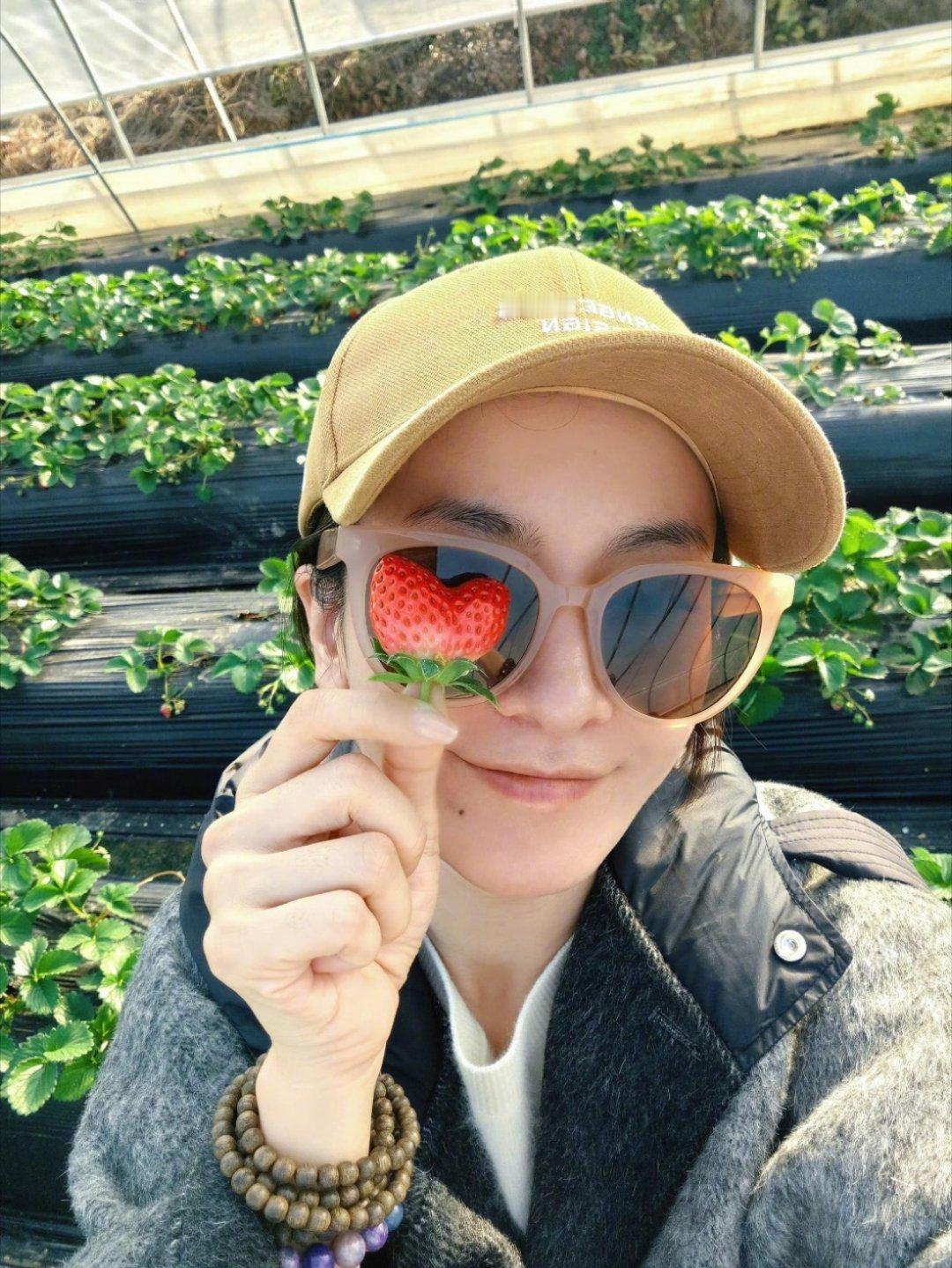 李晟怎么偷偷拼图啊！说好的直播拼图呢