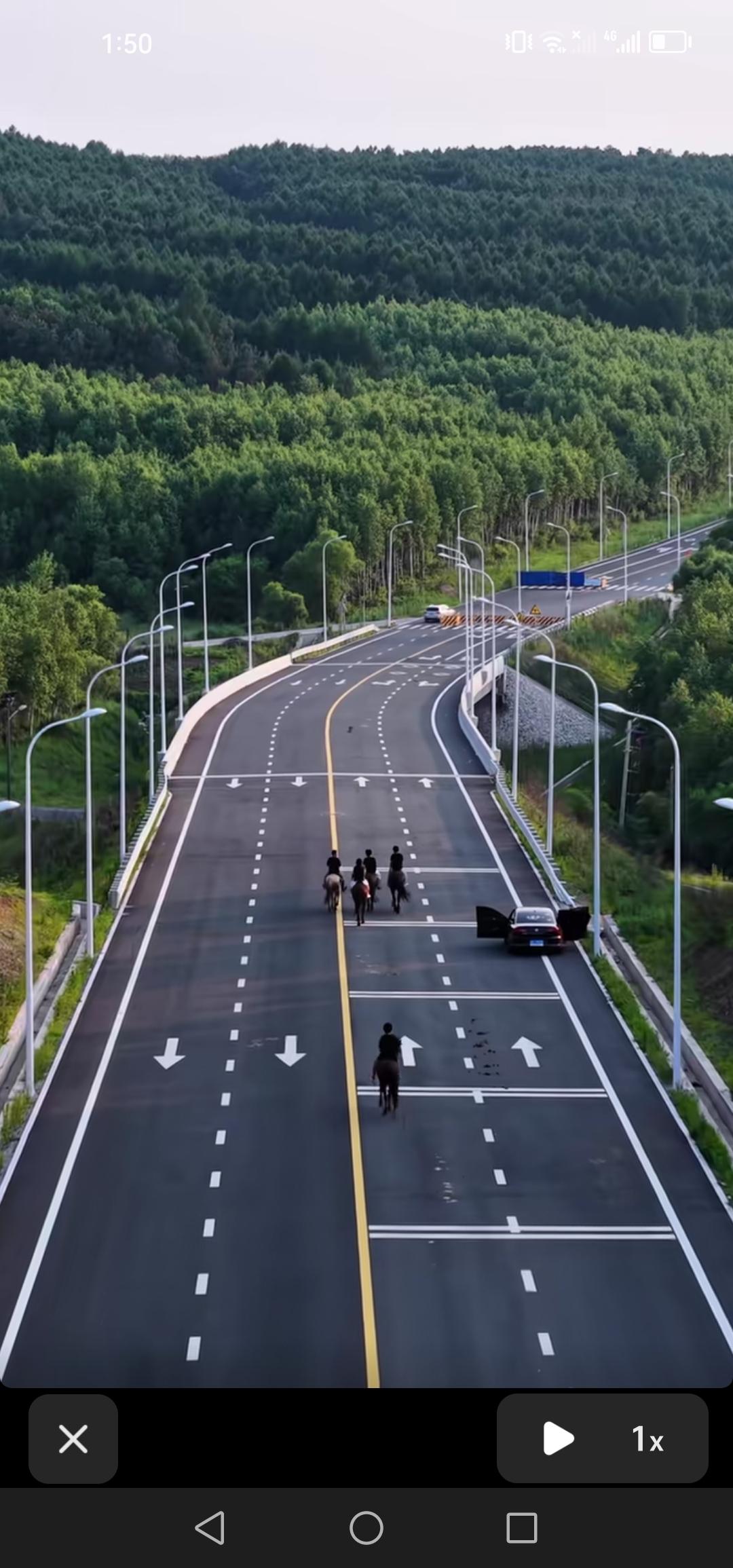 长春市有一条被赞为最美公路的森杨路，在此骑马漫步，惬意之感油然而生，真期待它能早