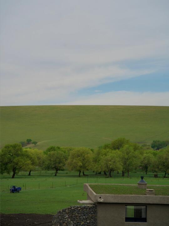 草原宿集top1即将开业，已经按耐不住期待了