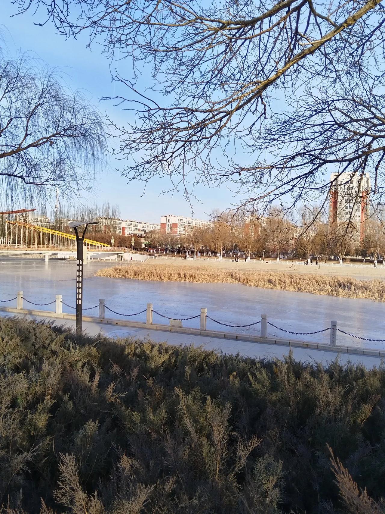 湖面冰封了，那些水鸭子
都上哪去了，能飞吗？