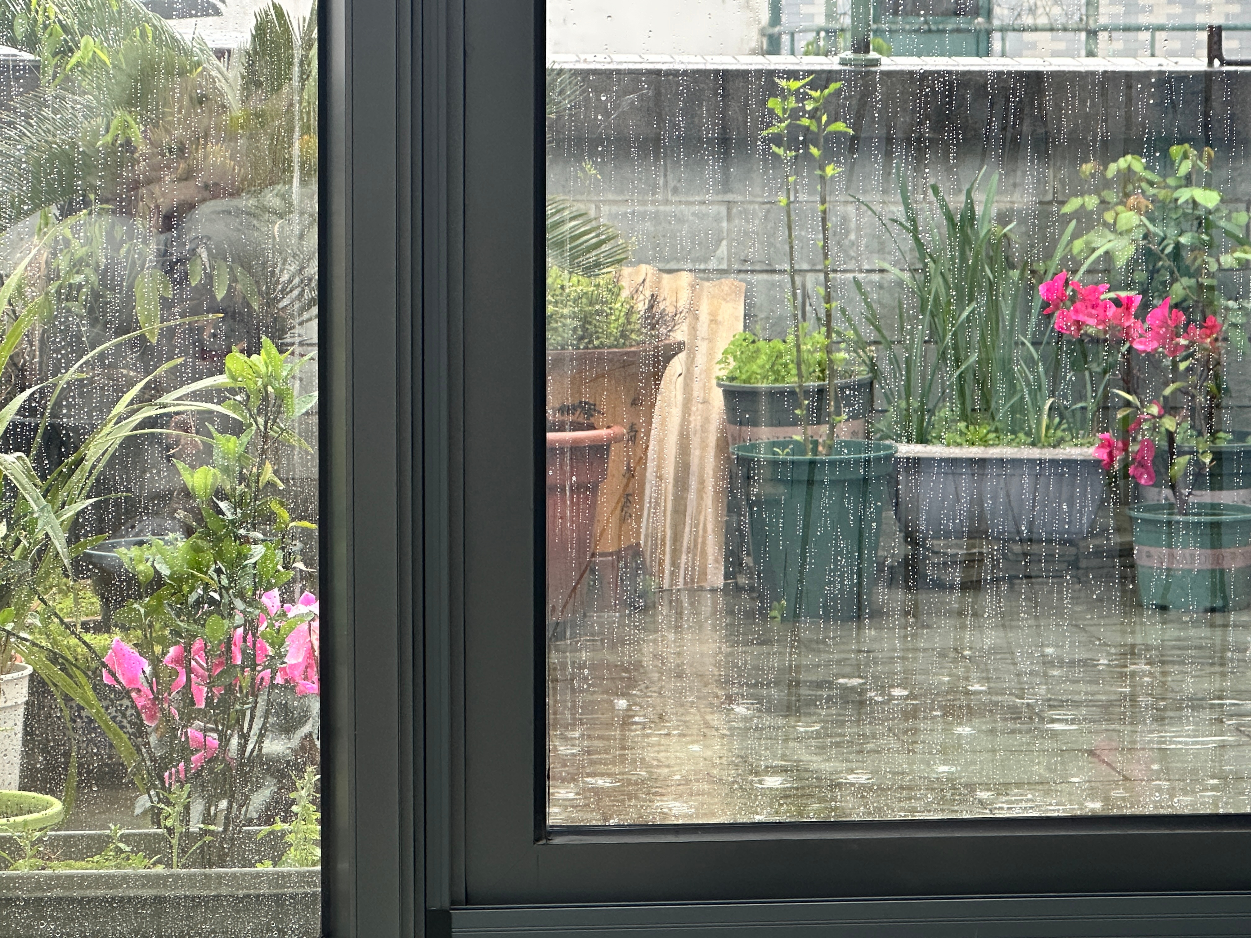 听 雨落下的声音 