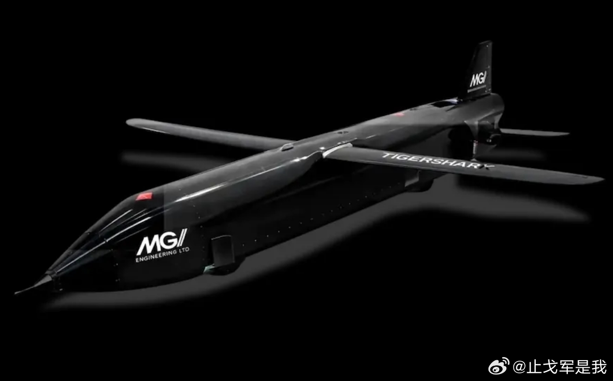 具有里程碑意义！欧洲“虎鲨”无人深击平台成功完成首飞英国MGI国防工程有限公司宣