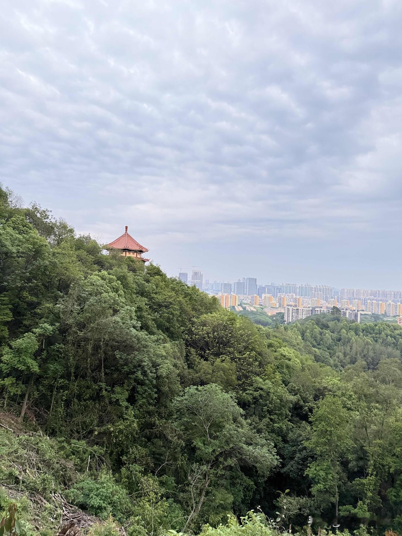 想什么呢，想都不敢想！