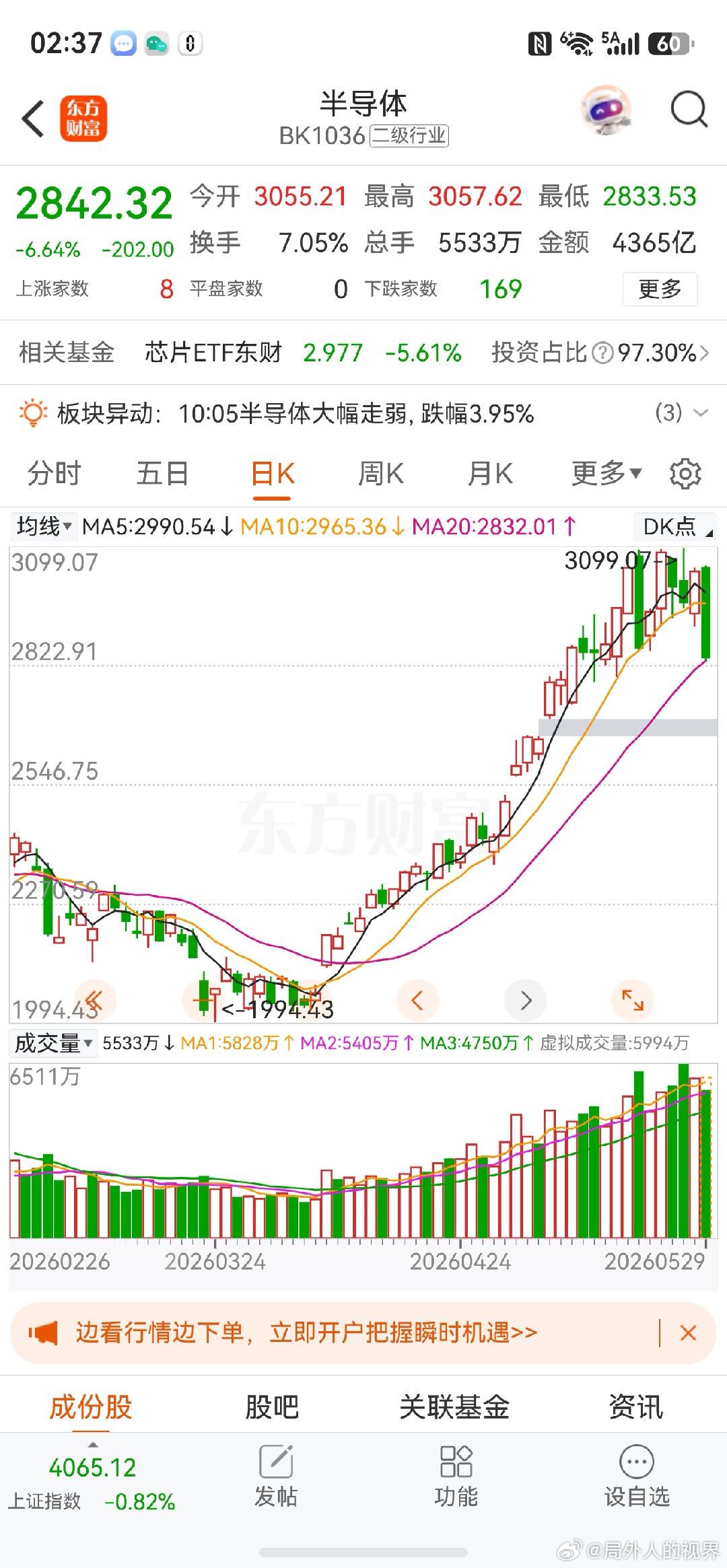 你说鱼尾巴抽人疼不疼 